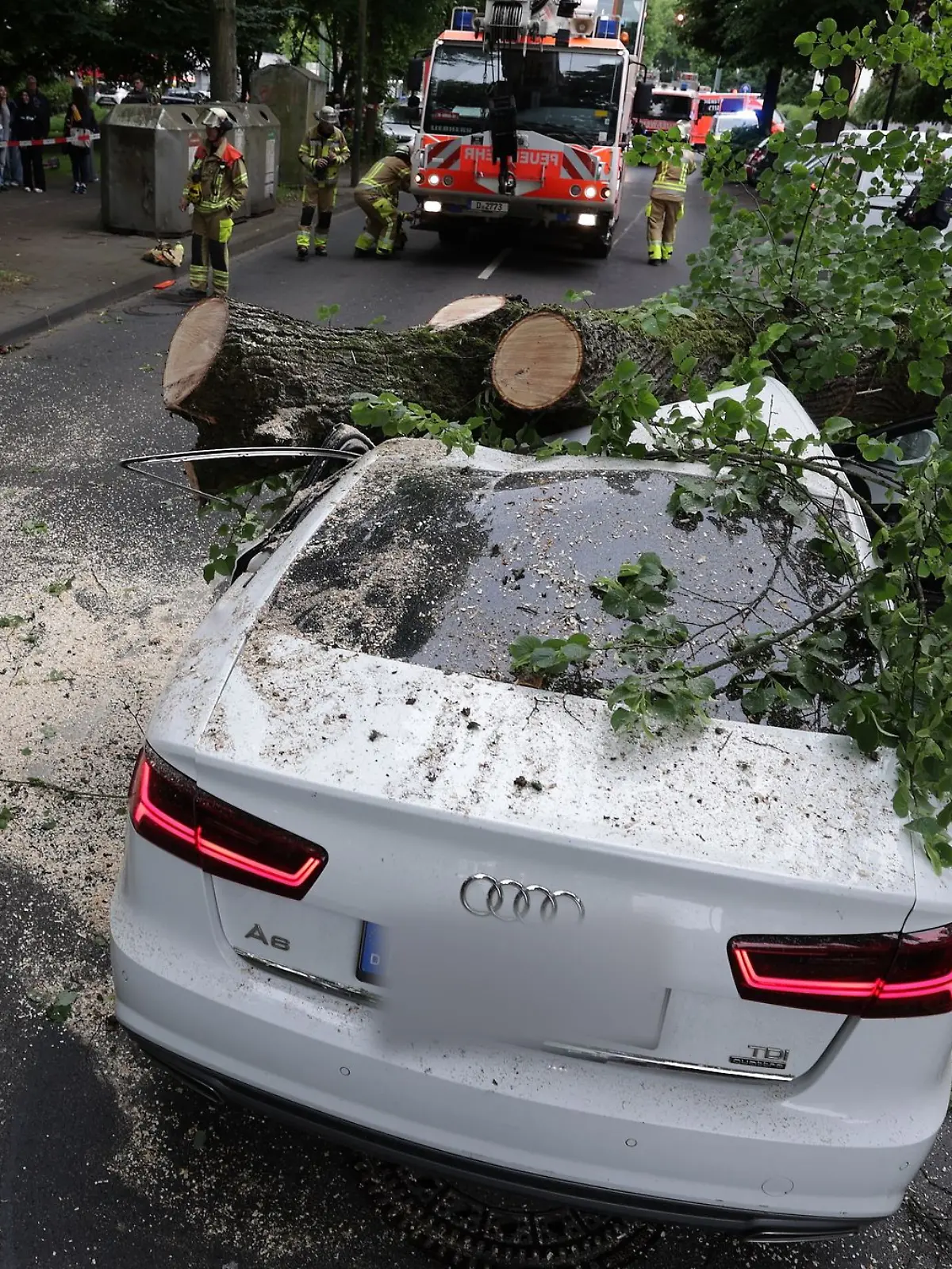 Bild zu: "Baum kracht auf vorbeifahrendes Auto – Fahrer (22) muss in Klinik"