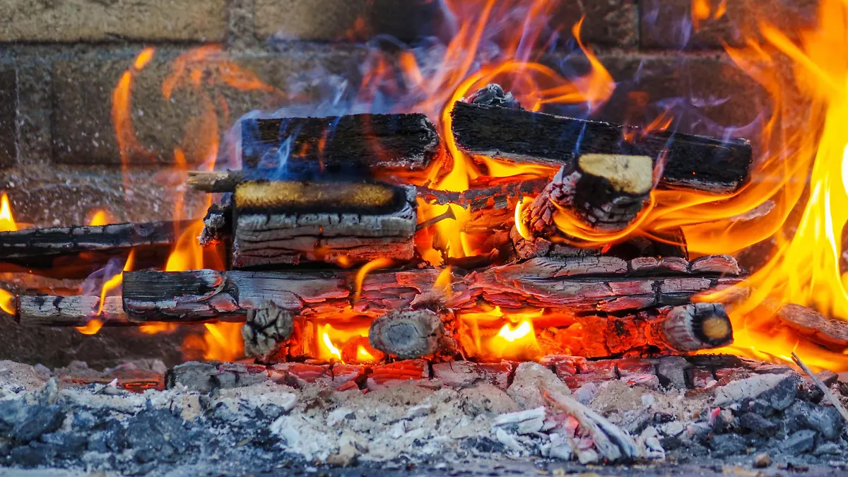 Holzkohle ist der Brennstoff für die Grillparty