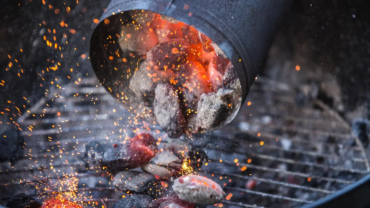 Grillbriketts im Test