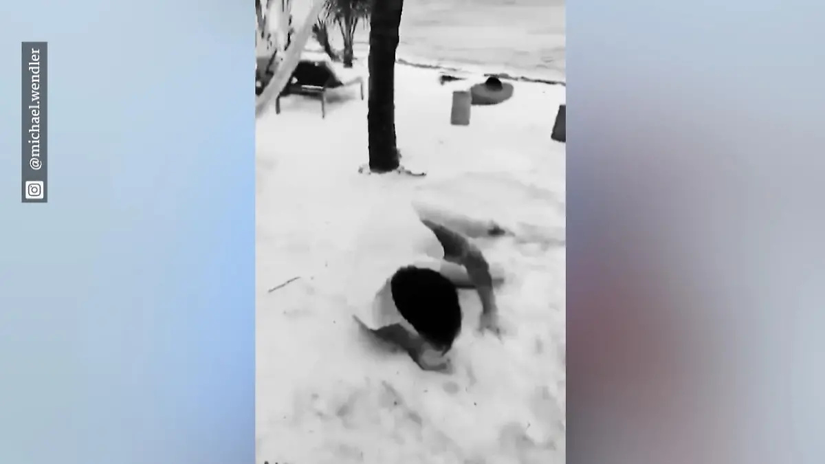 Der Wendler liegt am Boden Dieses TikTok-Video wirft Fragen auf!