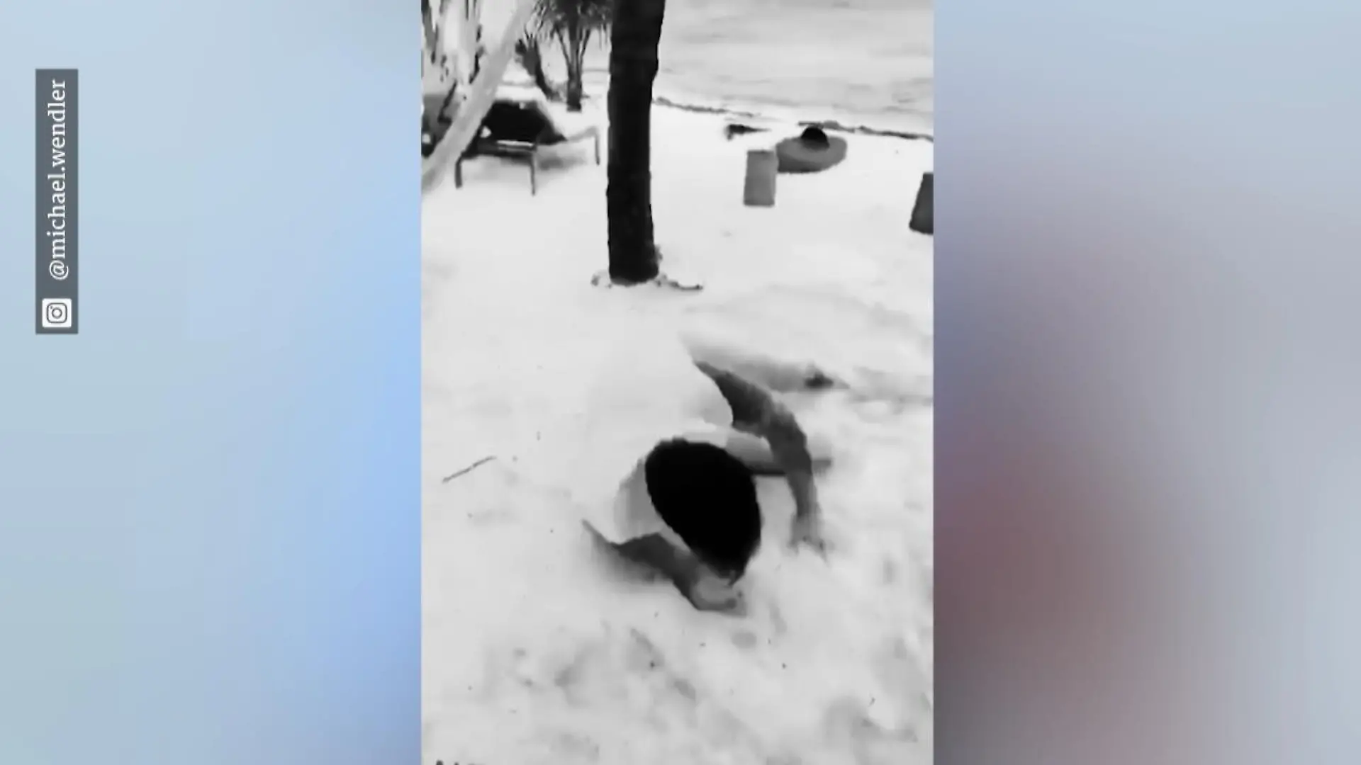 Der Wendler liegt am Boden Dieses TikTok-Video wirft Fragen auf!