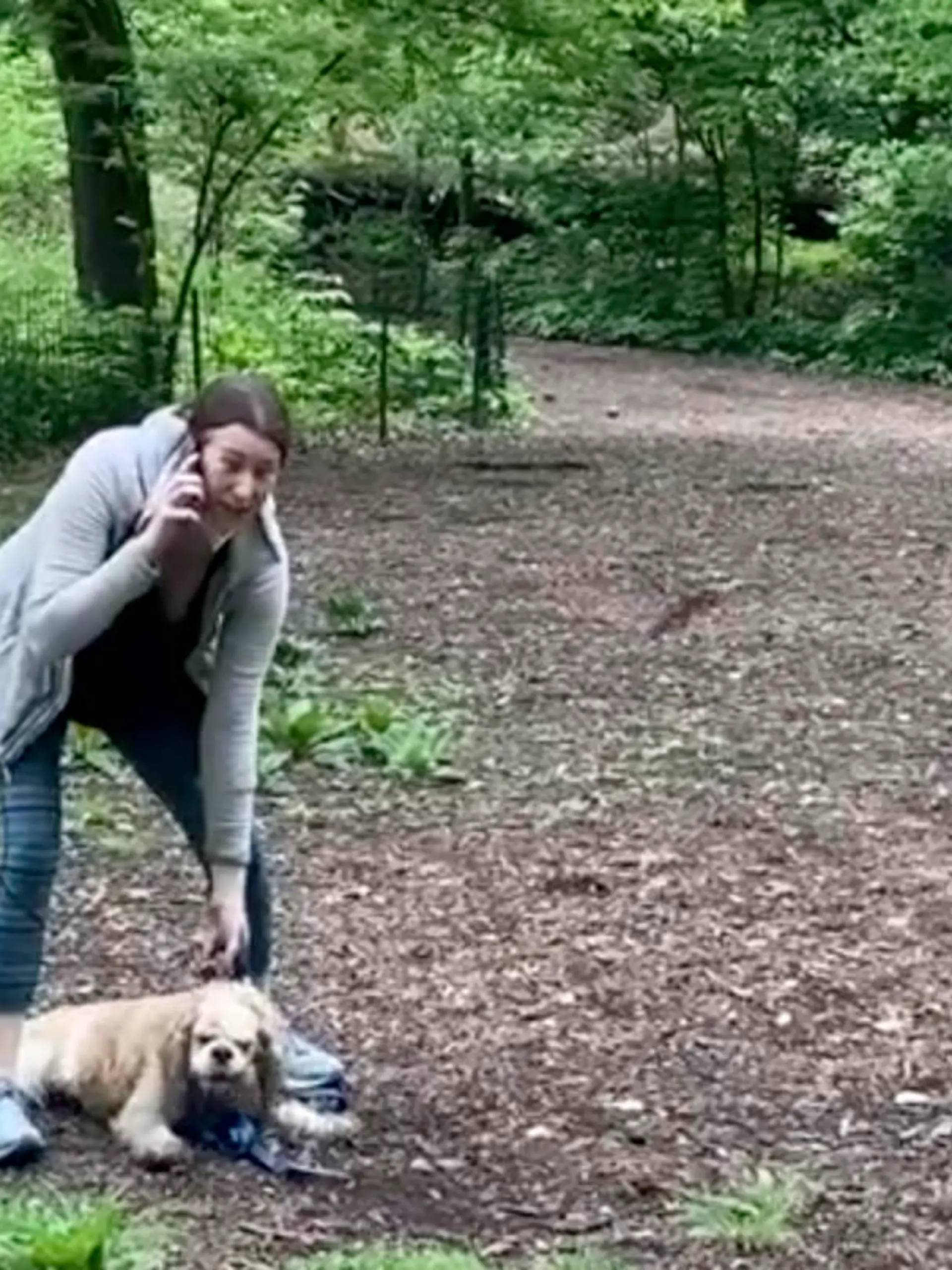 This image made from Monday, May 25, 2020, video provided by Christian Cooper shows Amy Cooper with her dog calling police at Central Park in New York. A video of a verbal dispute between Amy Cooper, walking her dog off a leash and Christian Cooper, a black man bird watching in Central Park, is sparking accusations of racism. (Christian Cooper via AP)