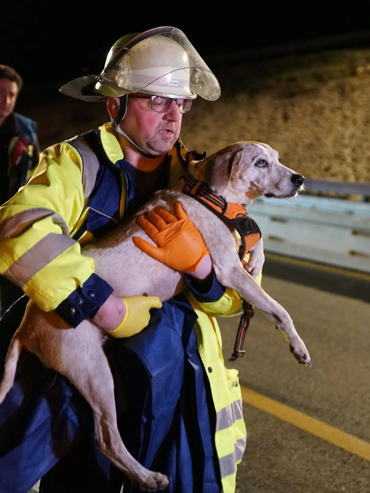 Ein Retter trägt einen Hund nach einem Unfall auf der A8. Ein betrunkener Falschfahrer hat sich bei einem Unfall auf der A8 nahe Mühlhausen im Täle (Landkreis Göppingen) schwer verletzt. Auch vier Hunde, die in seinem Auto saßen, wurden am Mittwochabend schwer verletzt, wie die Polizei in der Nacht zum Donnerstag mitteilte. Ein Hund starb am Unfallort. (zu dpa «Auto kracht in Lkw auf A8 - Falschfahrer und Hunde schwer verletzt»)
