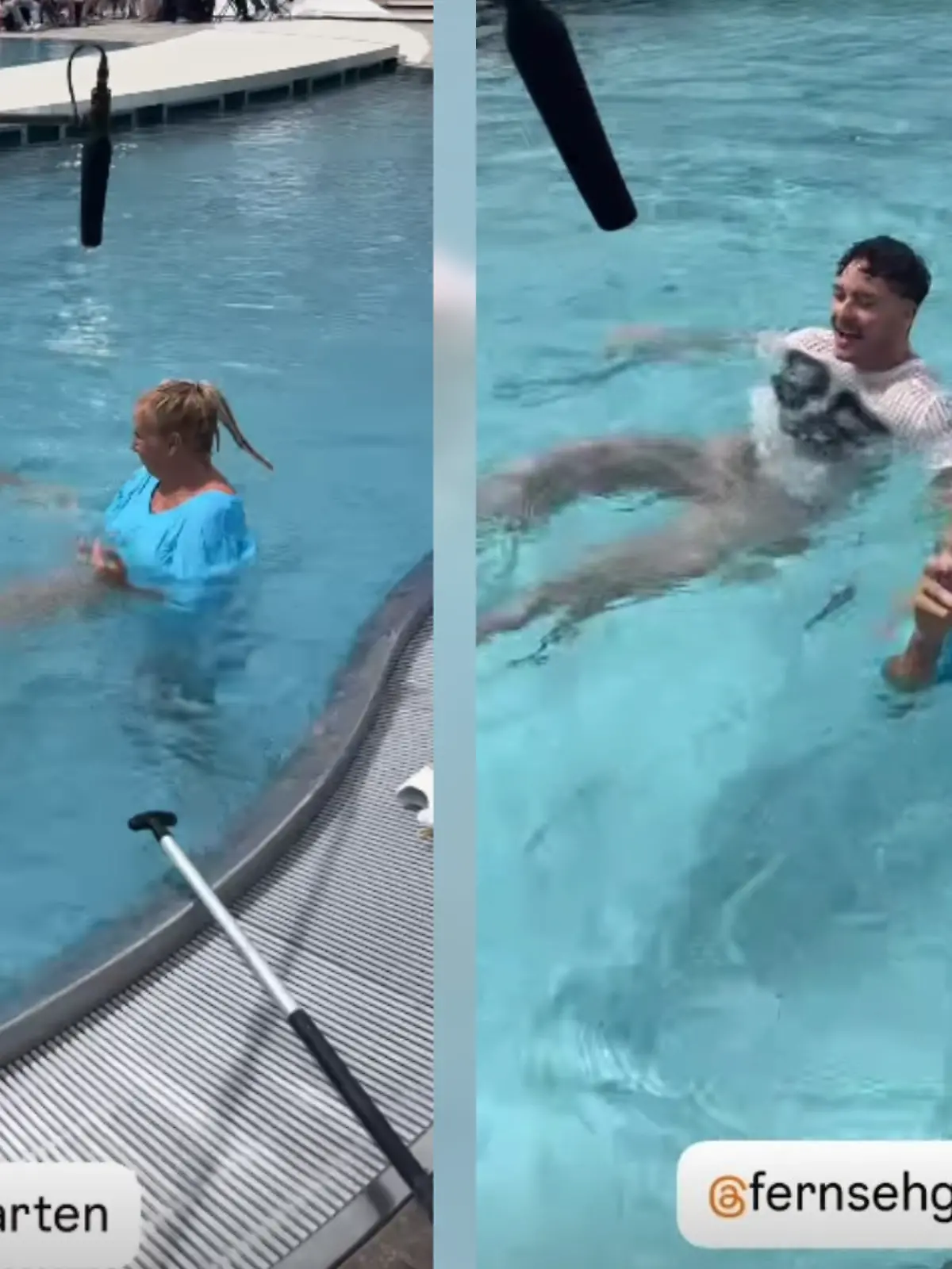 Bild zu: "„Kiwi” macht den Abflug und geht baden! "