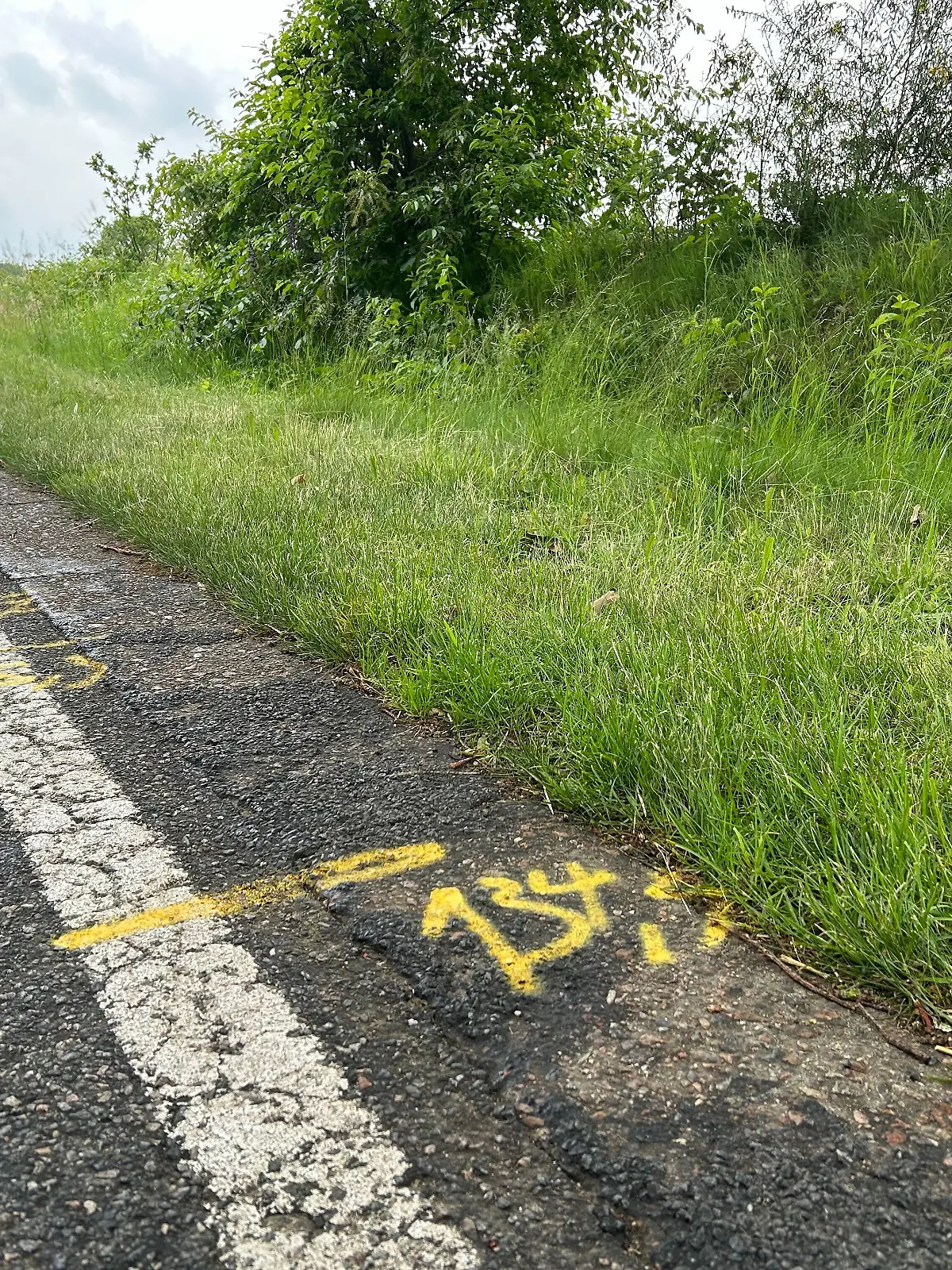 An dieser Straße lässt der Unfallfahrer die junge Frau einfach liegen.