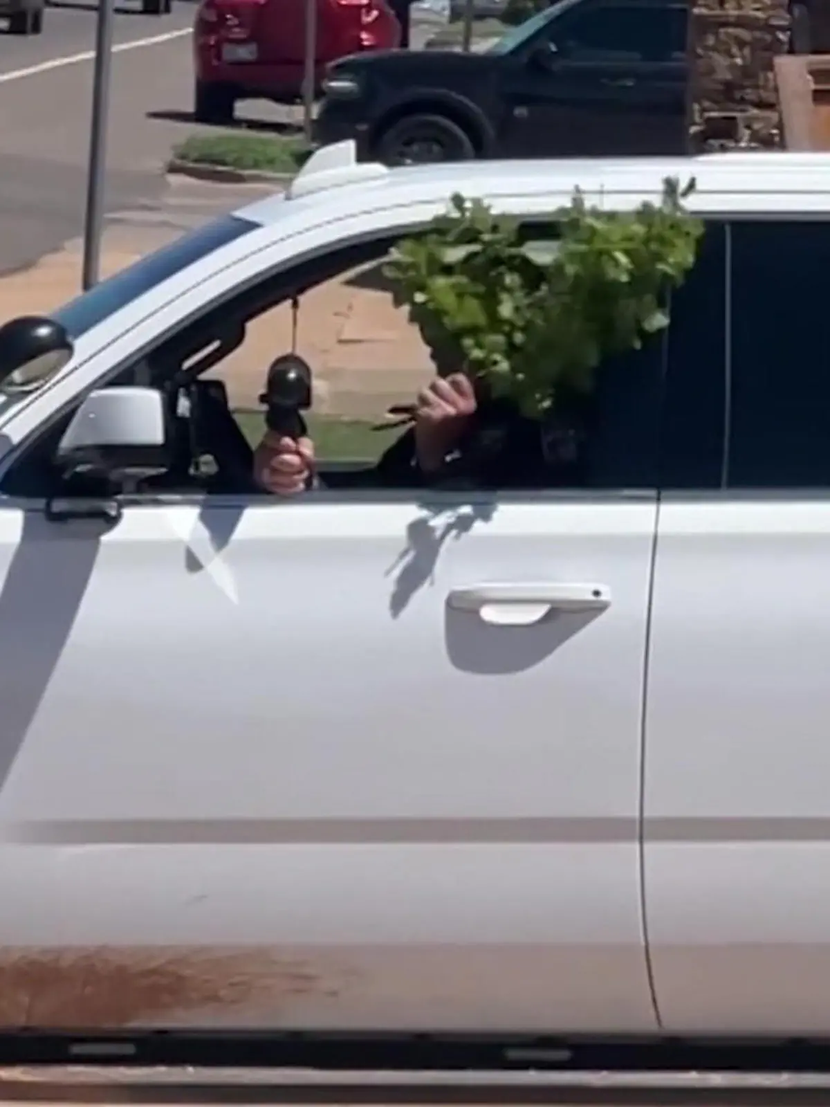 Der Polizist aus Guthrie (Oklahoma, USA) versteckt sich hinter einem Ast.