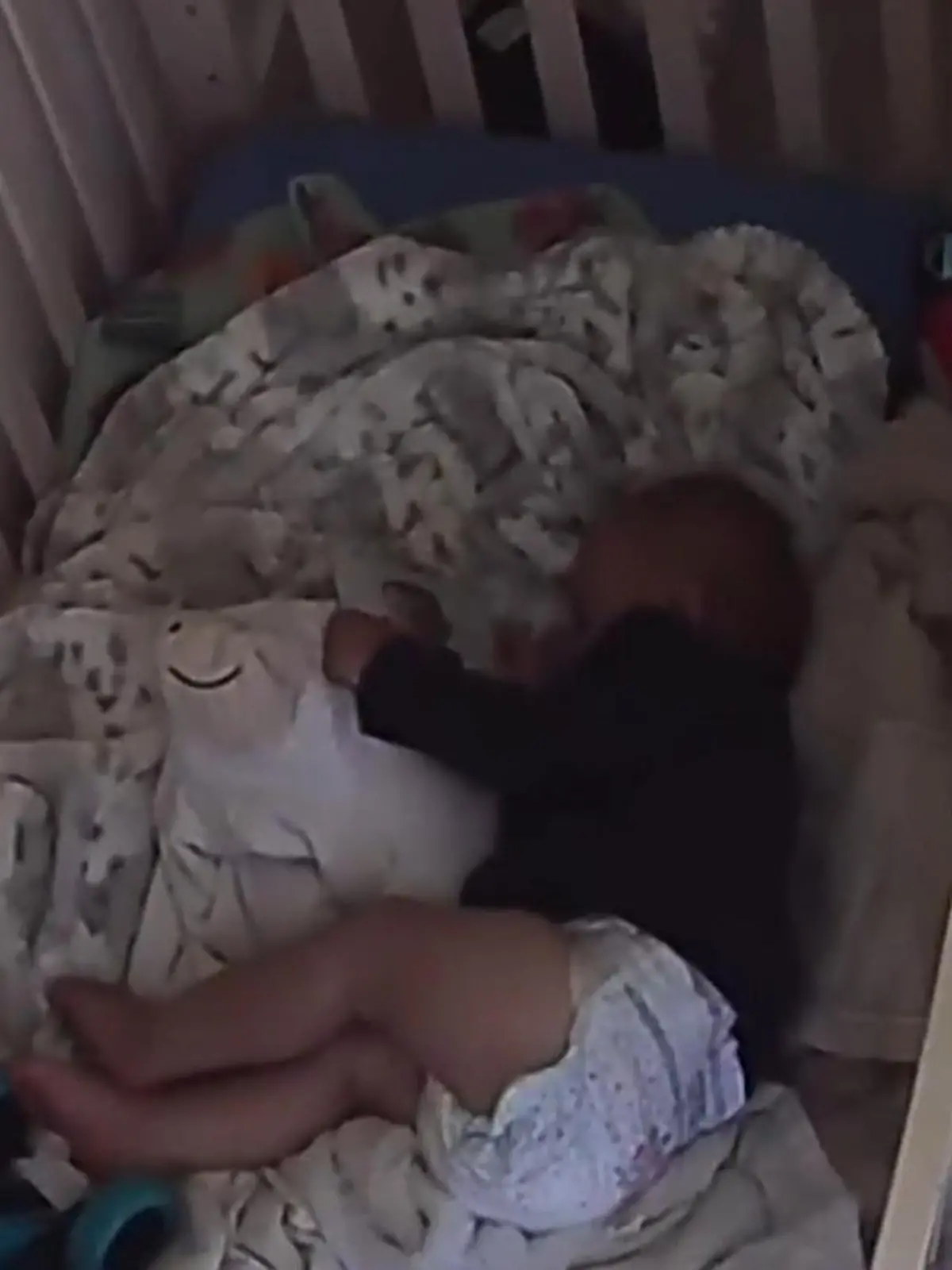 Baby Wellington schläft nur mit dem Bild im Arm.