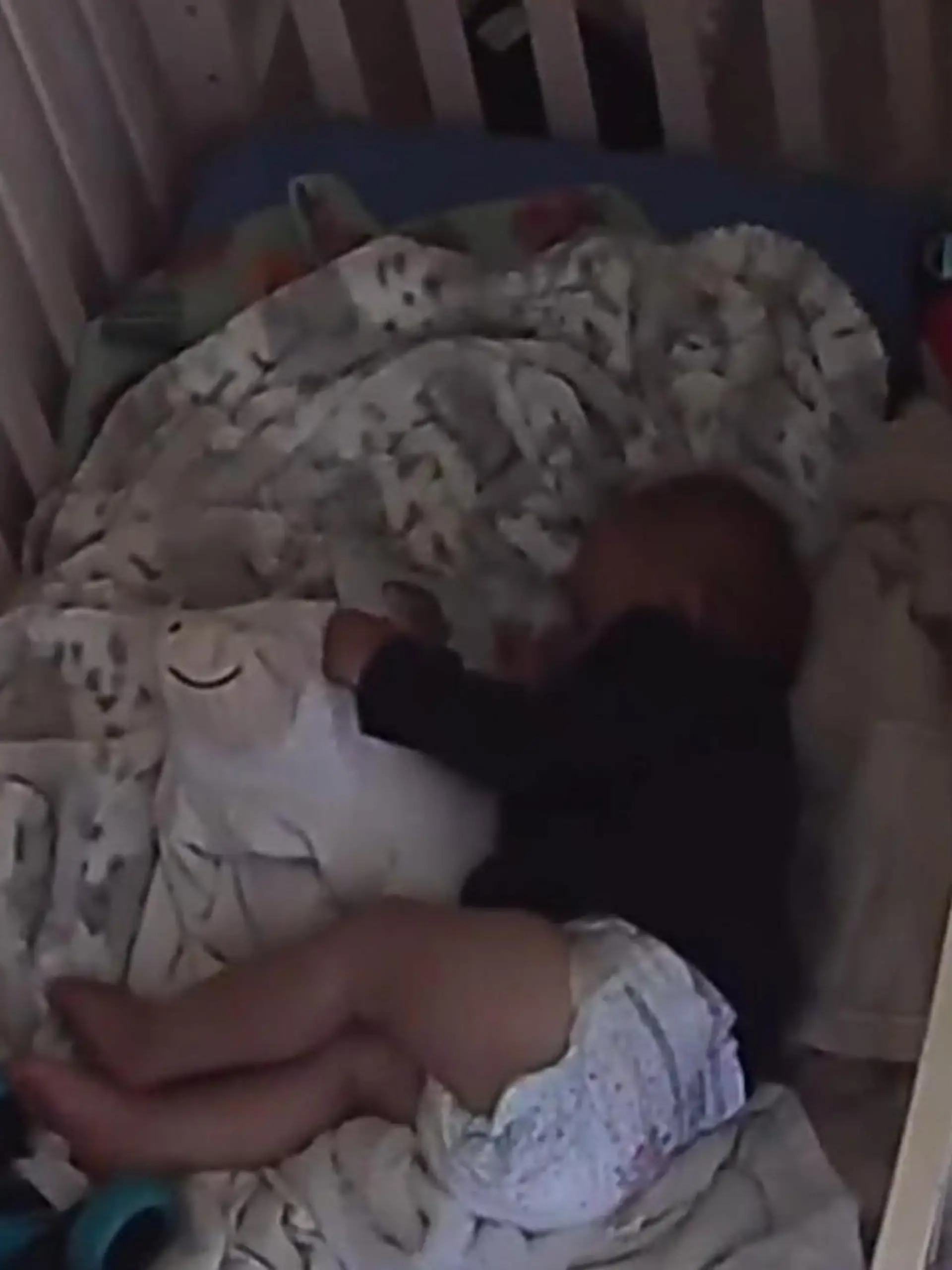 Baby Wellington schläft nur mit dem Bild im Arm.