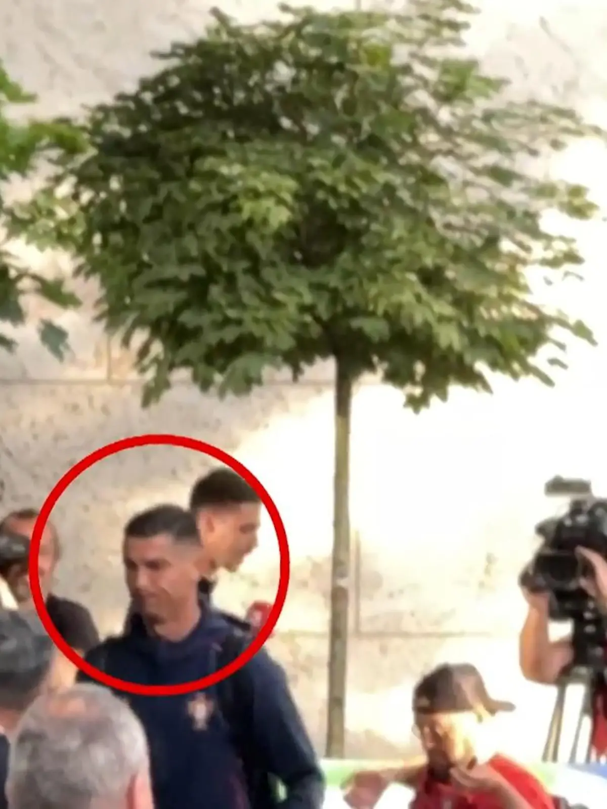 Bild zu: "„Mein Gott, wir haben Ronaldo gesehen! Ronaldoooo!”"