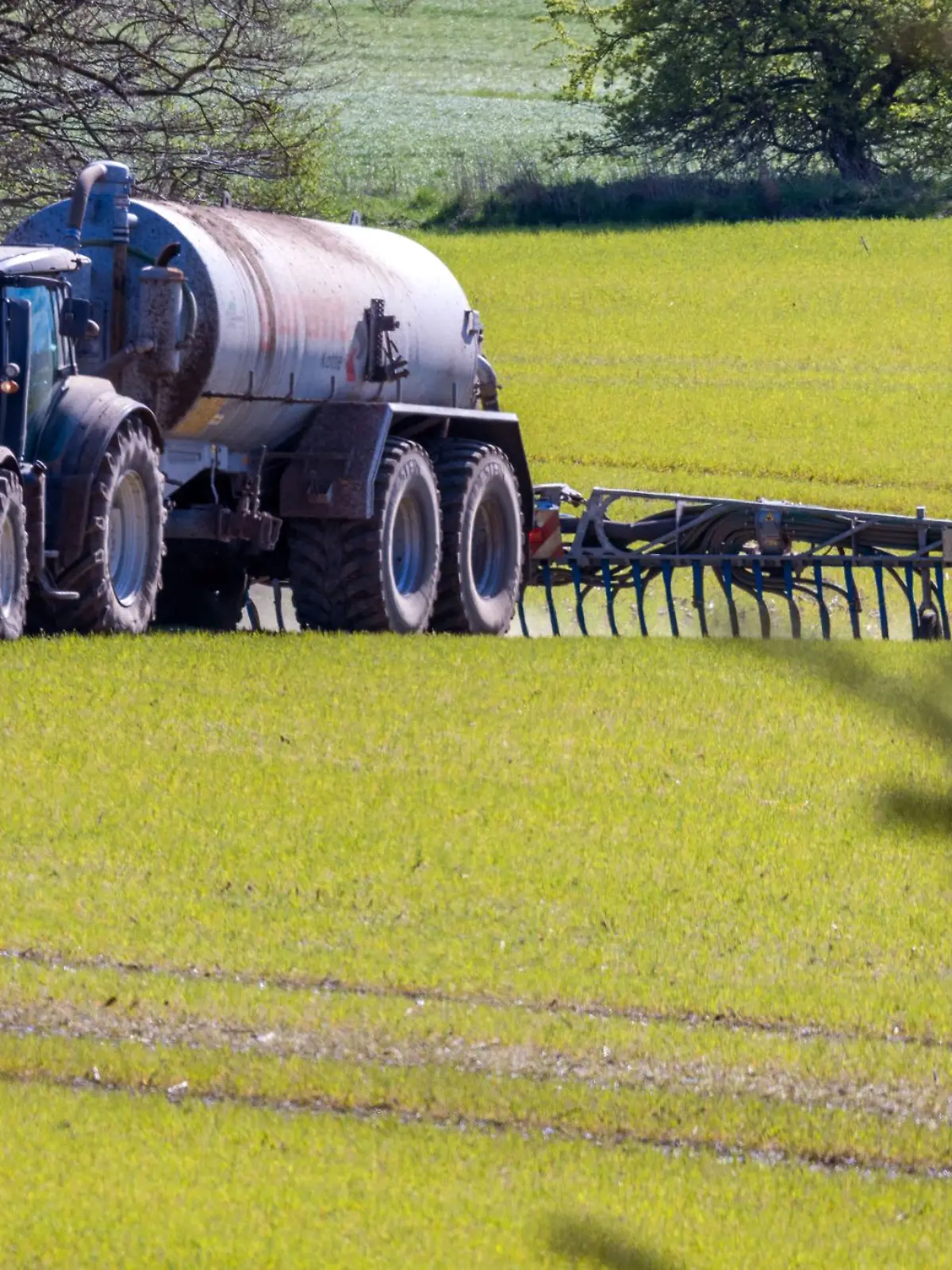Bild zu: "Deutsche Umwelthilfe kritisiert Landwirte! „Es gibt schwarze Schafe, die nicht korrekt düngen”"