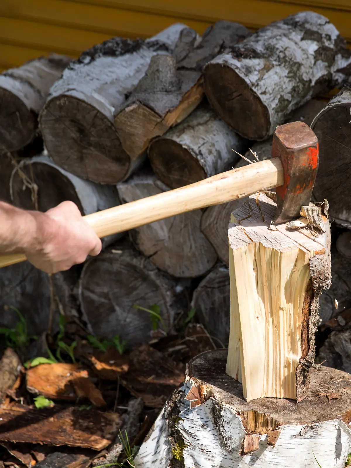 Ein Vater will Affen mit einer Axt vertreiben – und trifft tödlich seinen kleinen Sohn. Jetzt gibt es Mordvorwürfe.