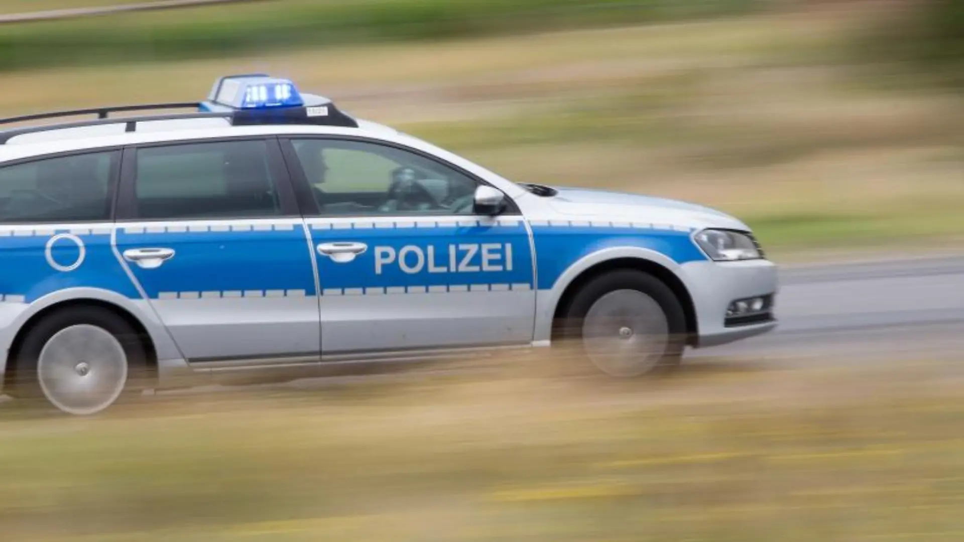 Ein Polizeifahrzeug fährt mit Blaulicht auf der Landstraße. Foto: Friso Gentsch/dpa/Symbolbild