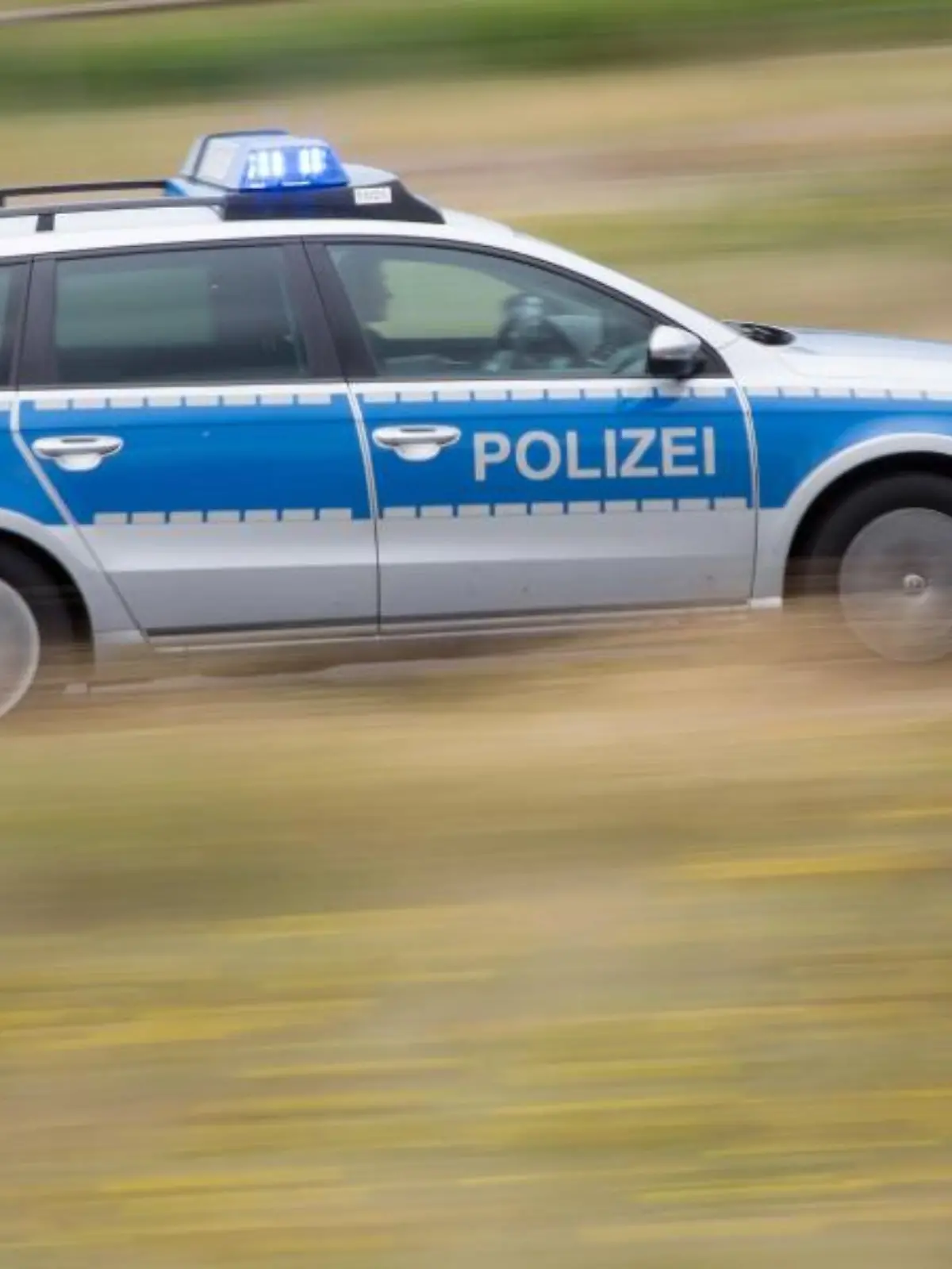 Ein Polizeifahrzeug fährt mit Blaulicht auf der Landstraße. Foto: Friso Gentsch/dpa/Symbolbild