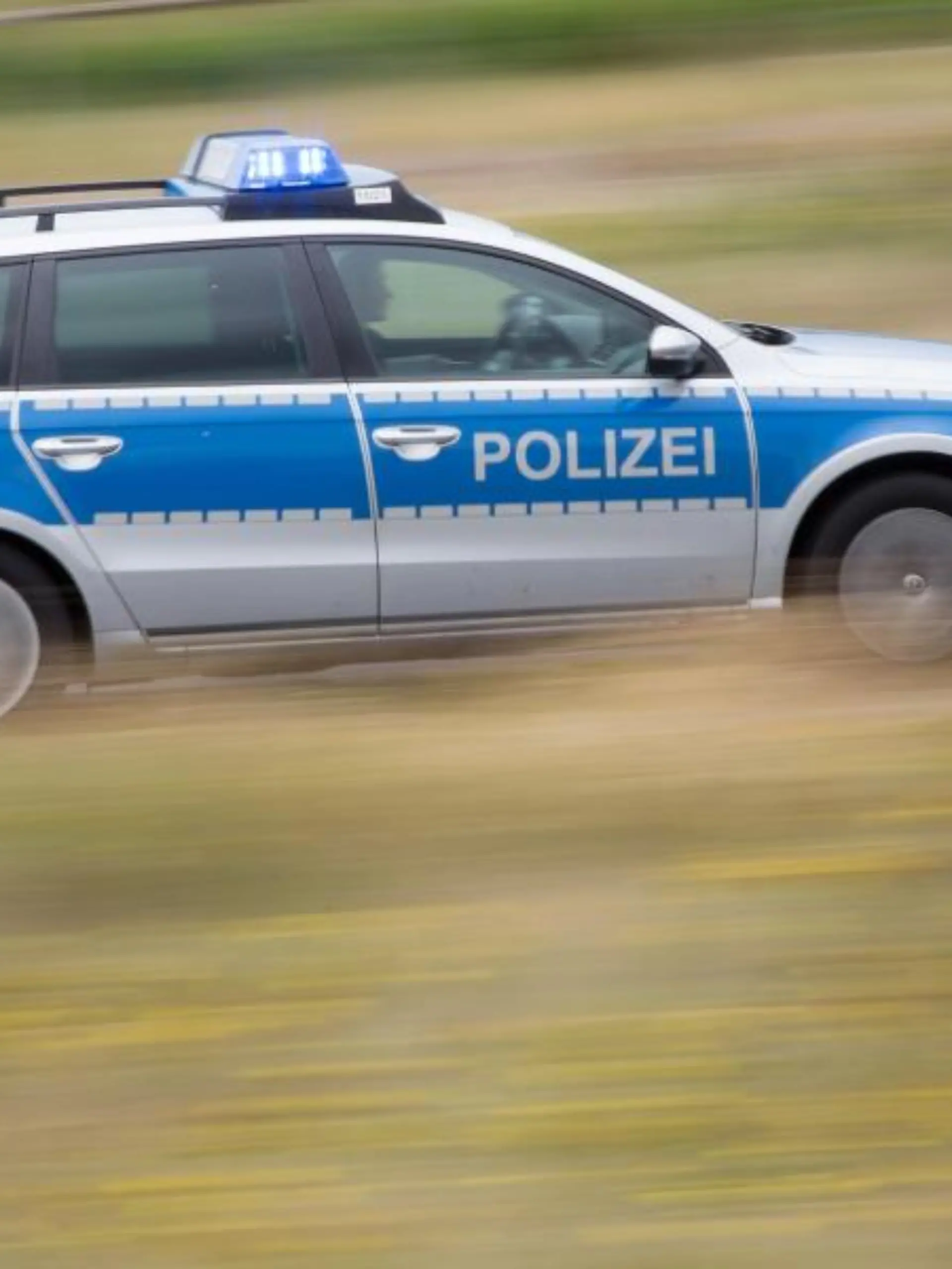 Ein Polizeifahrzeug fährt mit Blaulicht auf der Landstraße. Foto: Friso Gentsch/dpa/Symbolbild