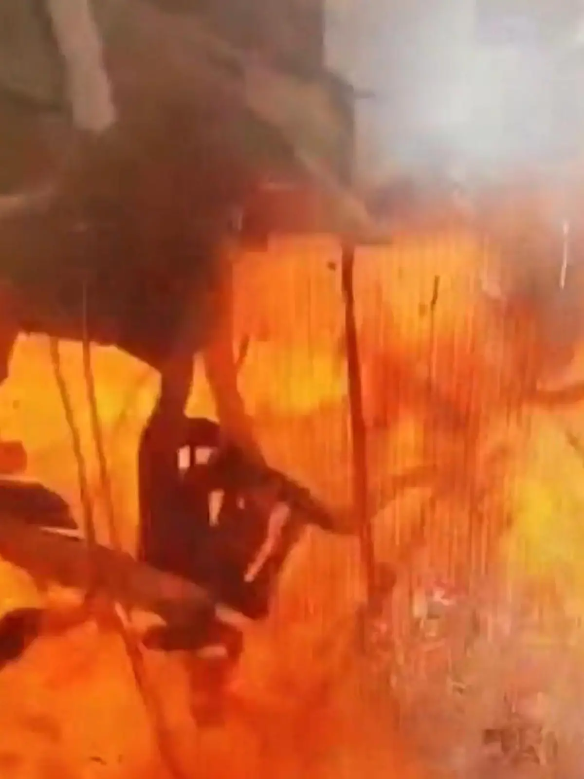 Bild zu: "Explosion im Urlaubsparadies! Yacht fliegt in die Luft - mehrere Verletzte"