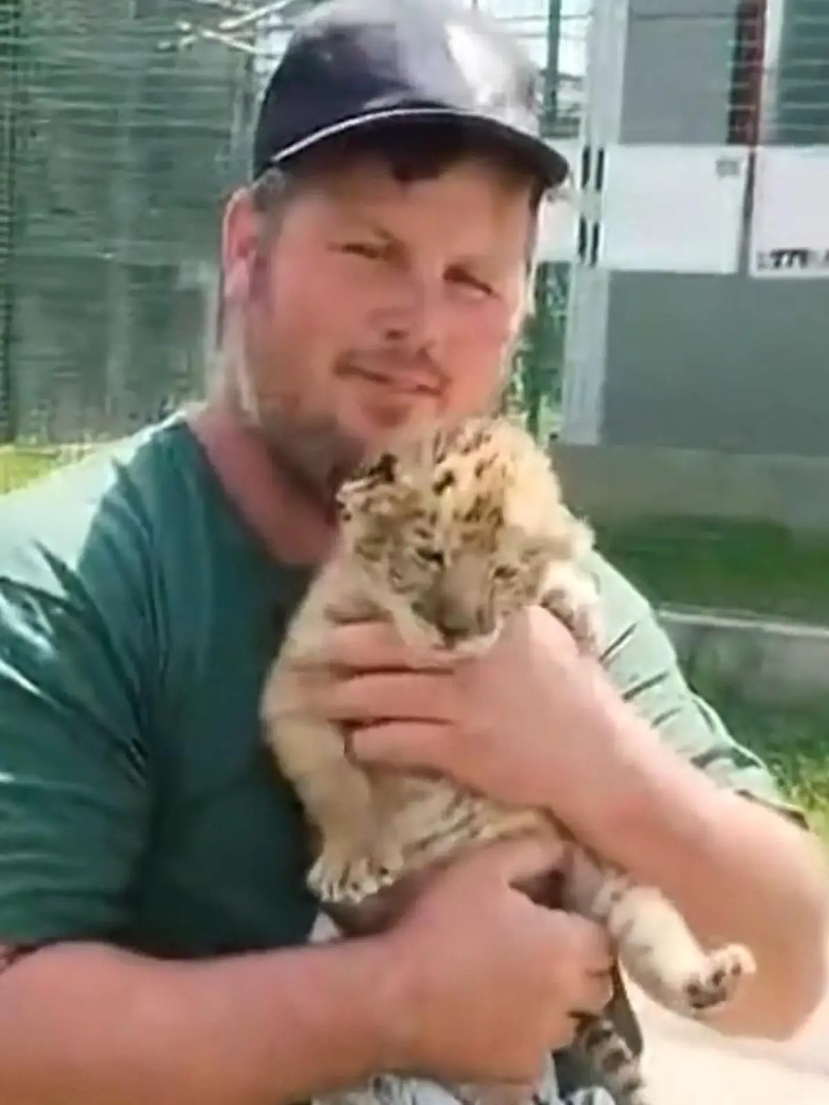 Bild zu: "Die größte Raubkatze der Welt! Habt ihr schon mal einen LIGER gesehen?"