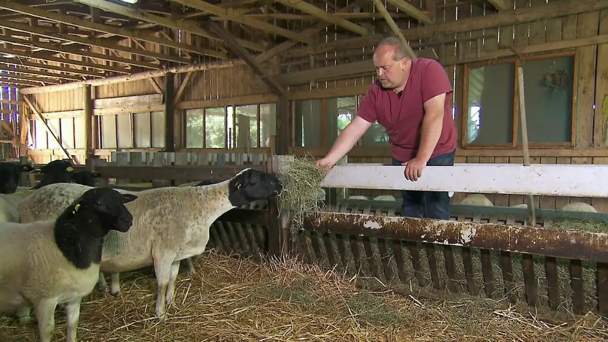 "Bauer sucht Frau": Zwei weitere Landwirte stehen fest