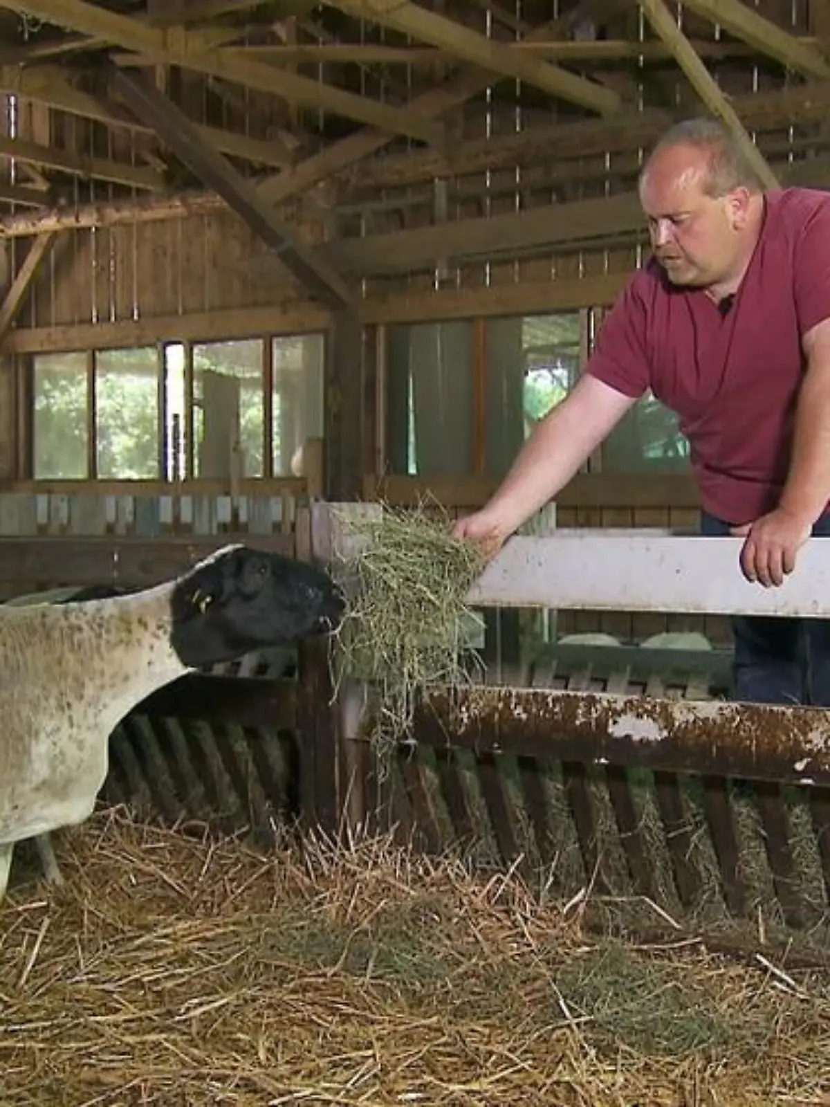 "Bauer sucht Frau": Zwei weitere Landwirte stehen fest