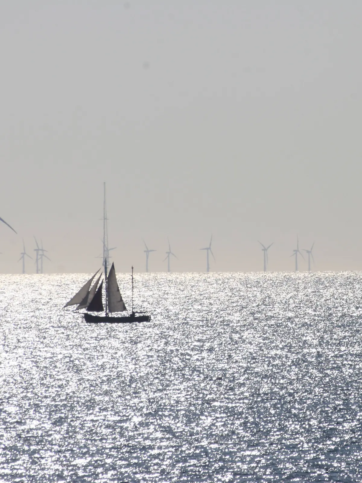 Segelboot 