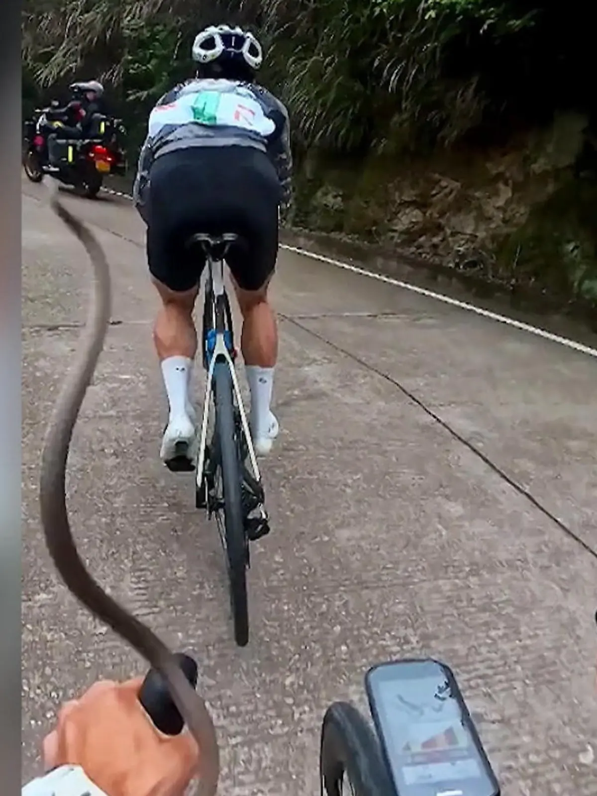 Bild zu: "Achtung, fliegende Schlange! Radrennen mit züngelndem Hindernis"