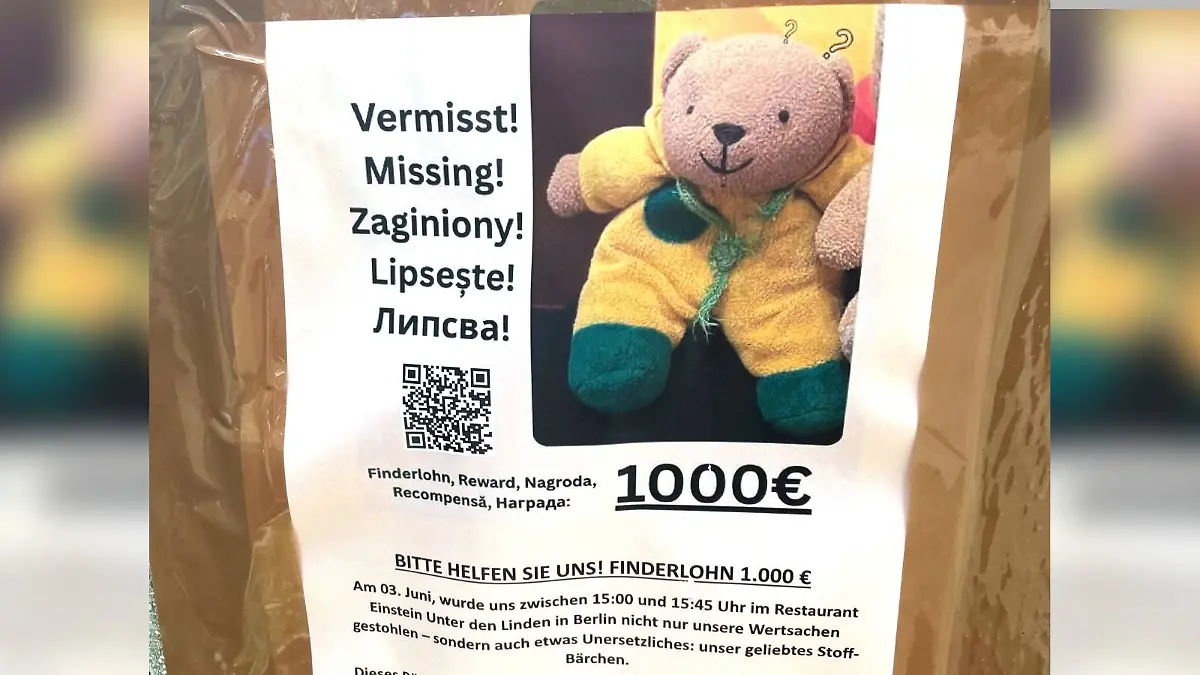 Teddy.jpg