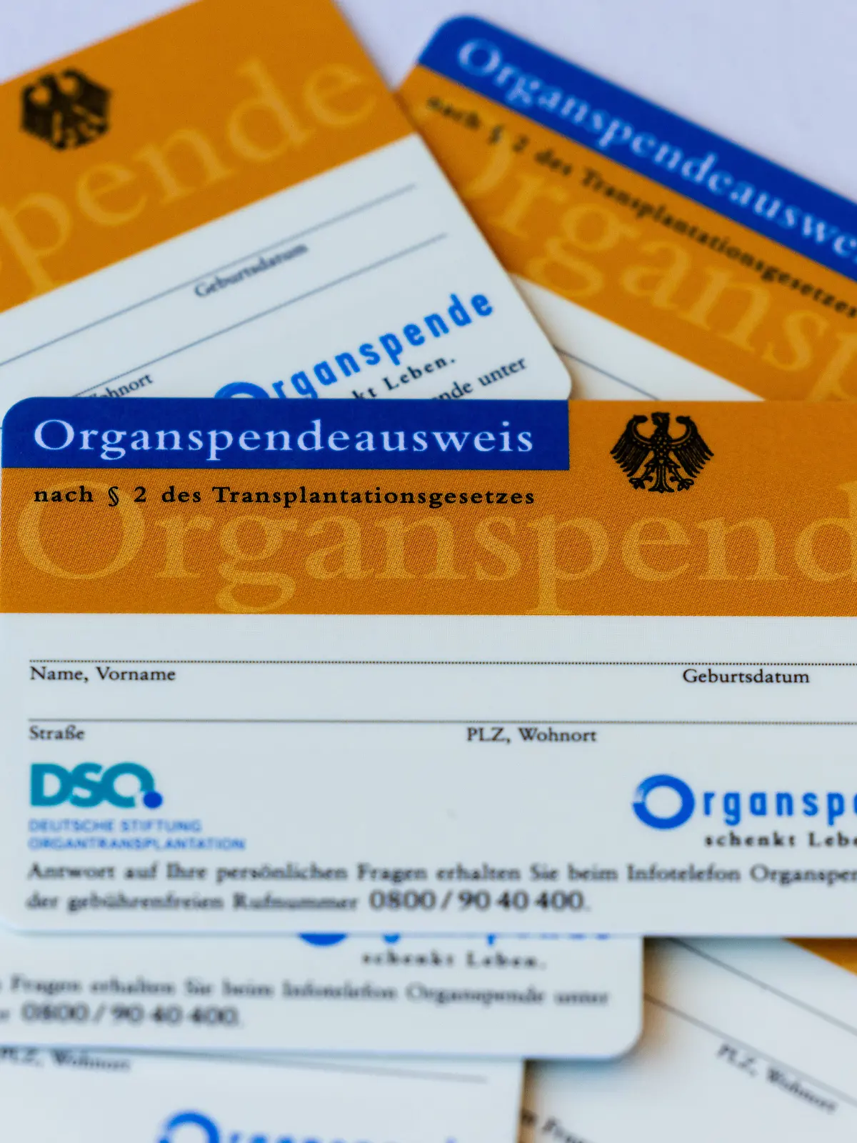 Bild zu: "Das solltet ihr über Organspende wissen! "