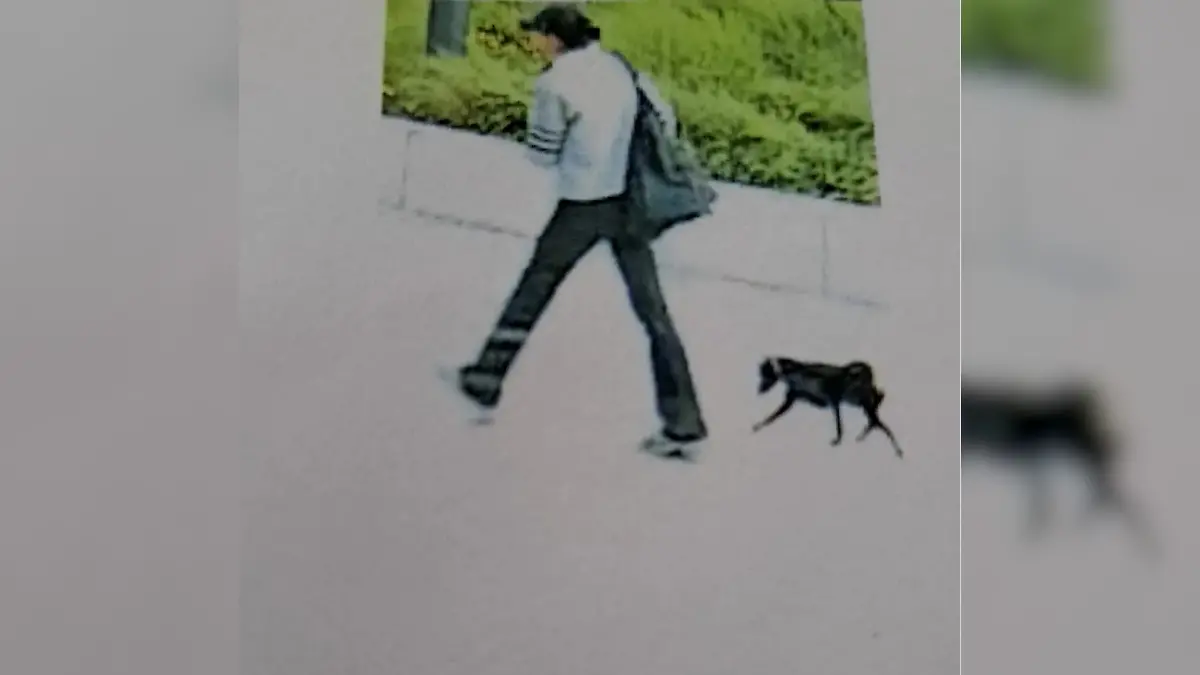 Das Foto aus einem Überwachungsvideo zeigt die Person, die Taro geklaut haben soll.