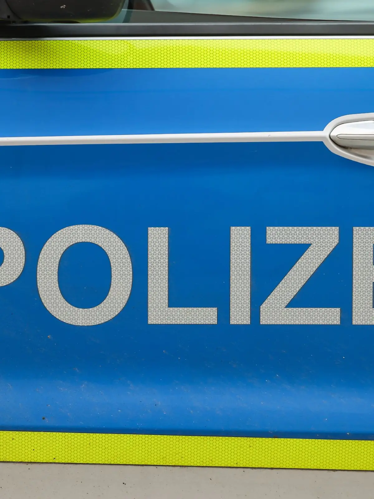 Bild zu: "Plötzlich wird sie (15) ins Gebüsch gezogen"