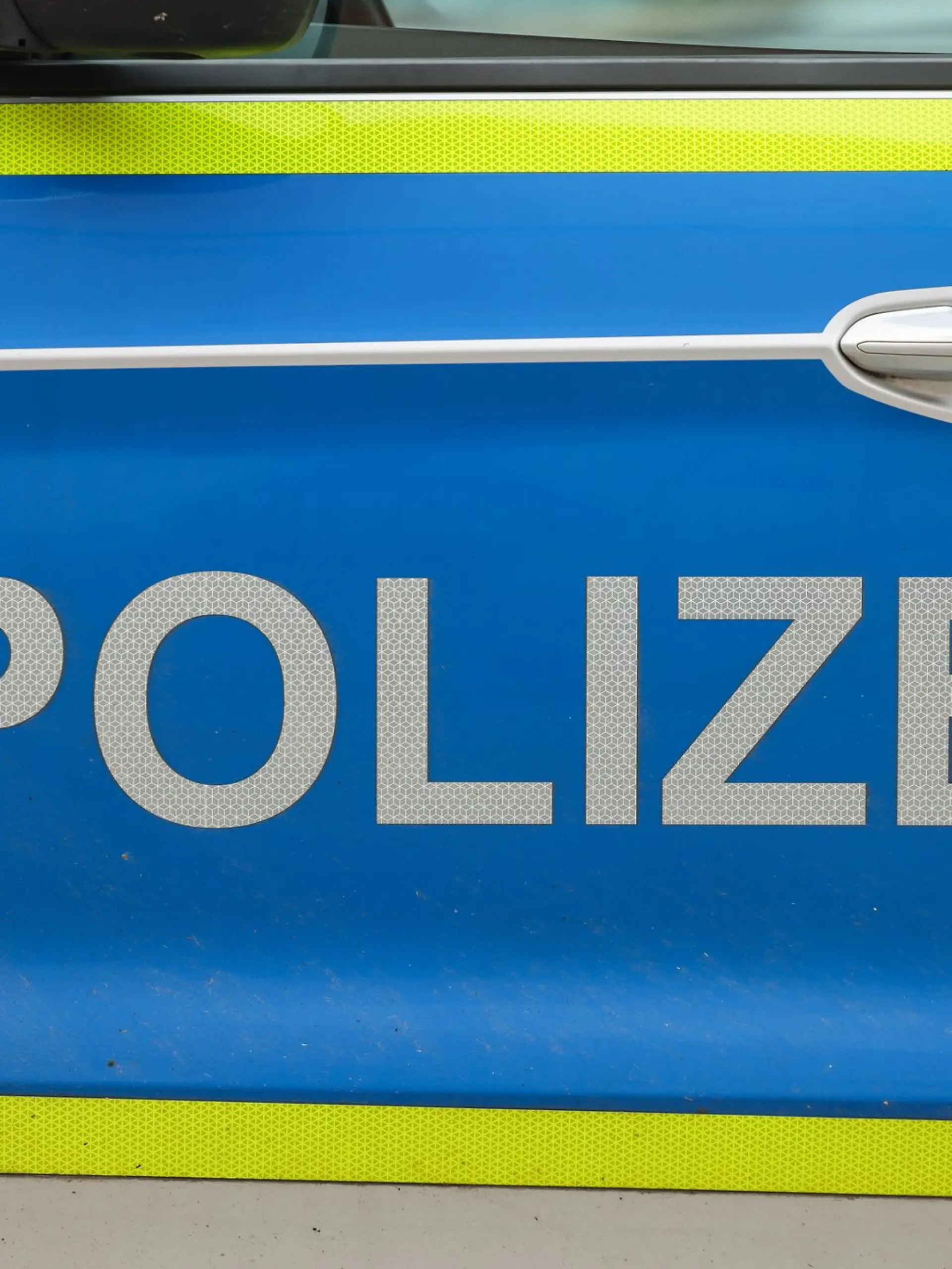 Bild zu: "Plötzlich wird sie (15) ins Gebüsch gezogen"