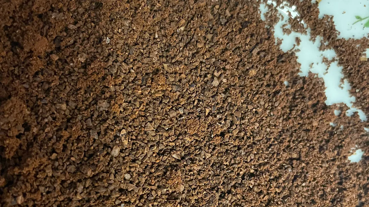Unterschiedlich große Partikel bei der Caso Kaffeemühle im mittleren Mahlgrad.