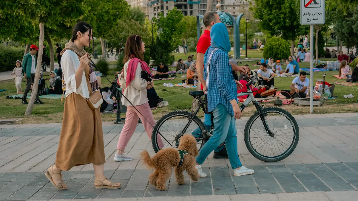 Die Behörden im Iran haben in mehreren Städten das Spazierengehen mit Hunden verboten.