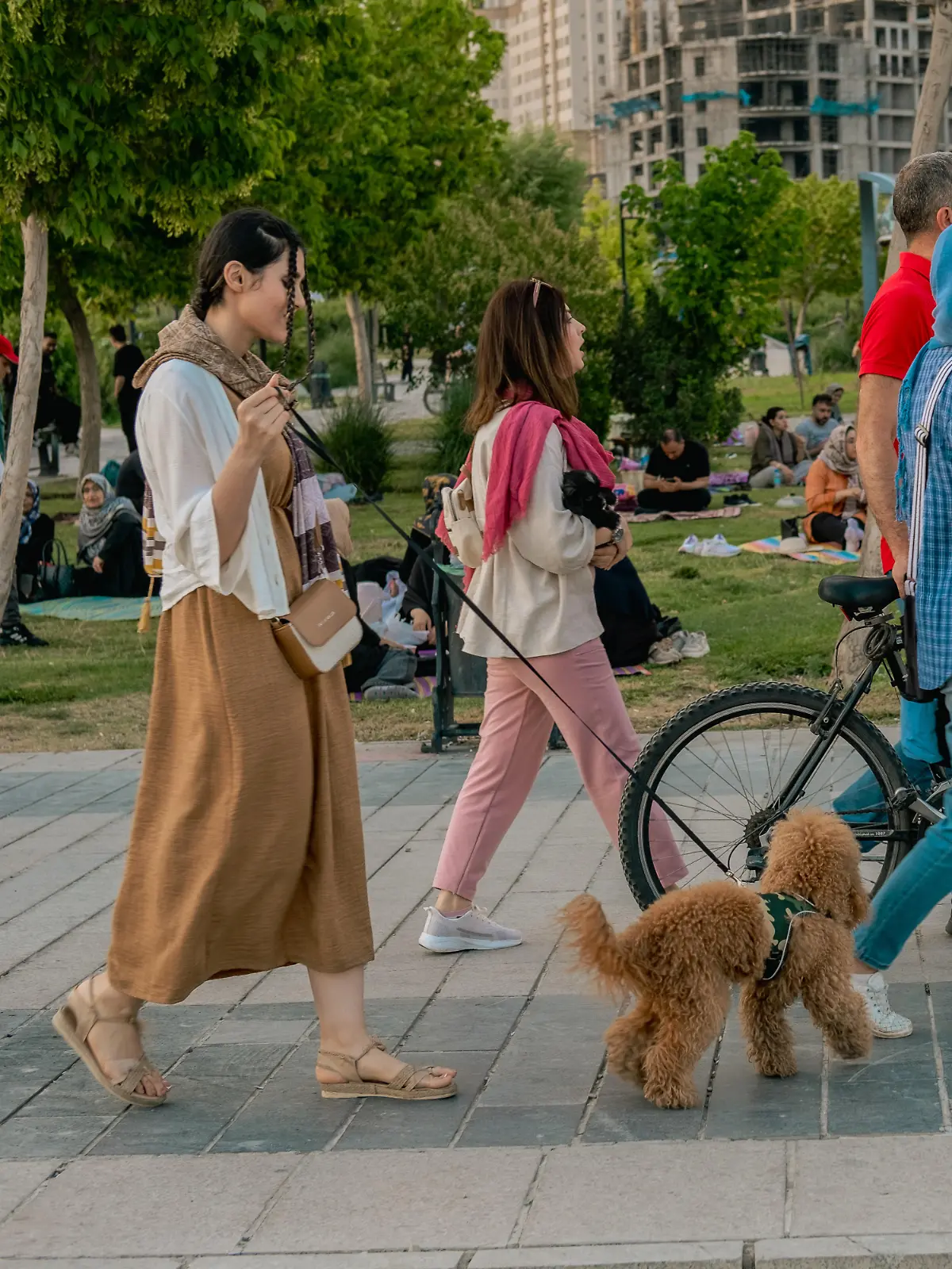 Die Behörden im Iran haben in mehreren Städten das Spazierengehen mit Hunden verboten.