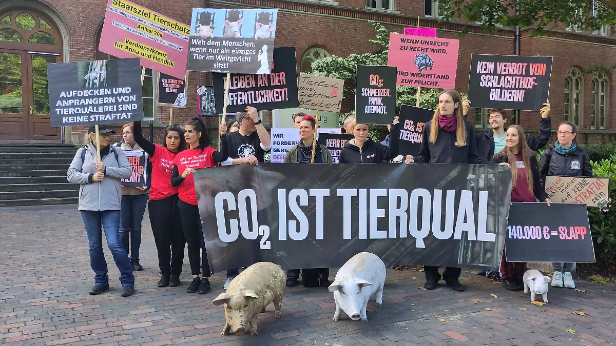 Protest vor dem Gericht in Oldenburg: Dutzende Tierschützer fordern Straffreiheit für die Aktivisten – und zeigen Plakate mit klarer Botschaft: „Tierleid zeigen ist kein Verbrechen.“