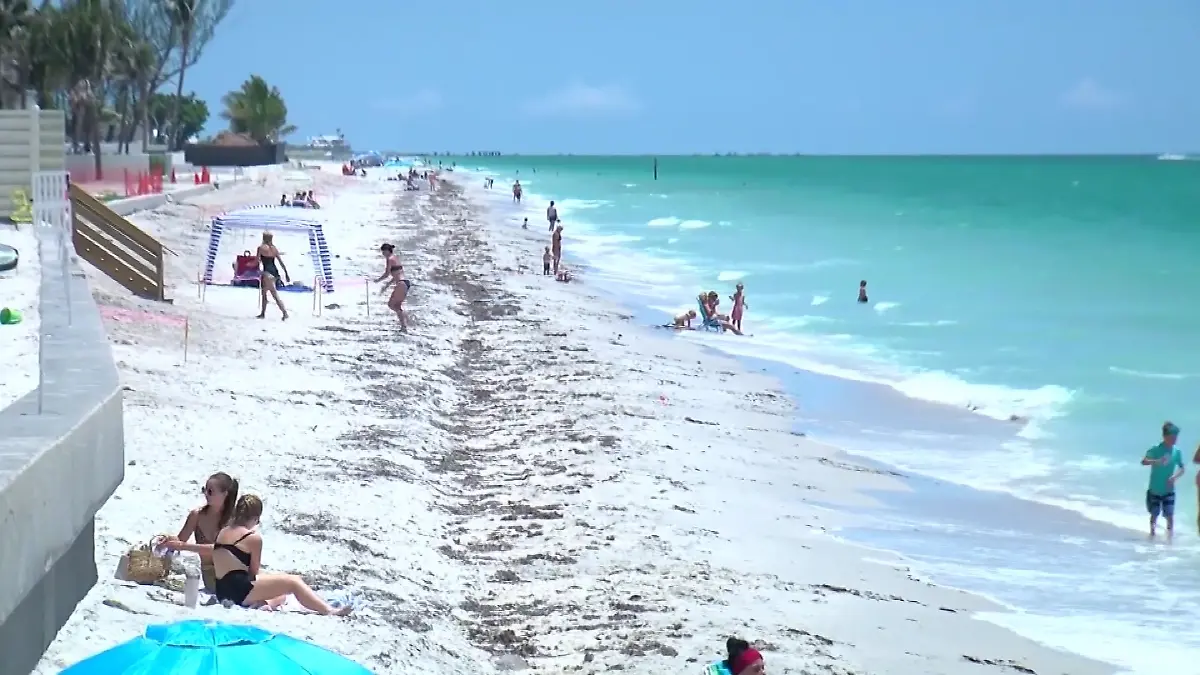 Das Mädchen wurde am Strand von Boca Grande gebissen.