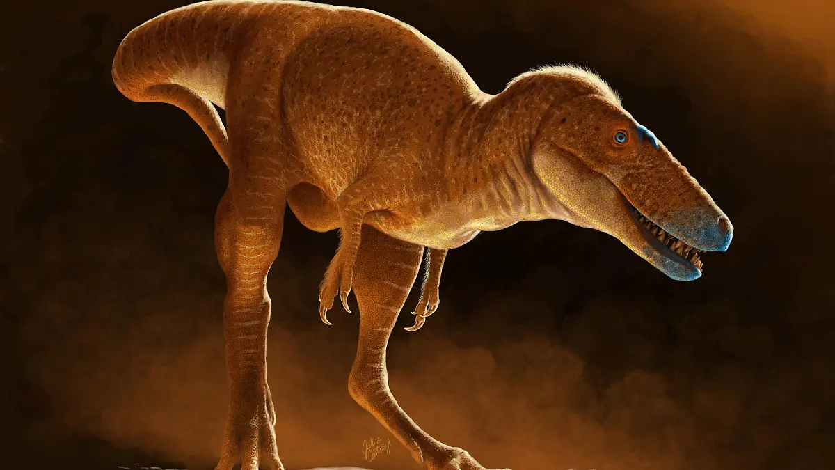 A life reconstruction of the newly identified dinosaur species Khankhuuluu mongoliensis, which lived 86 million years ago in Mongolia, is seen in this handout illustration