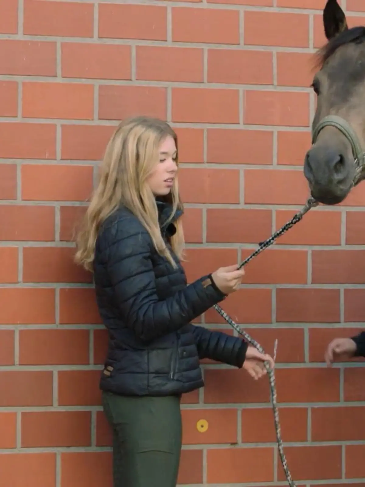 Bild zu: "Kann Pferdeprofi Matthes dem Wallach helfen?"