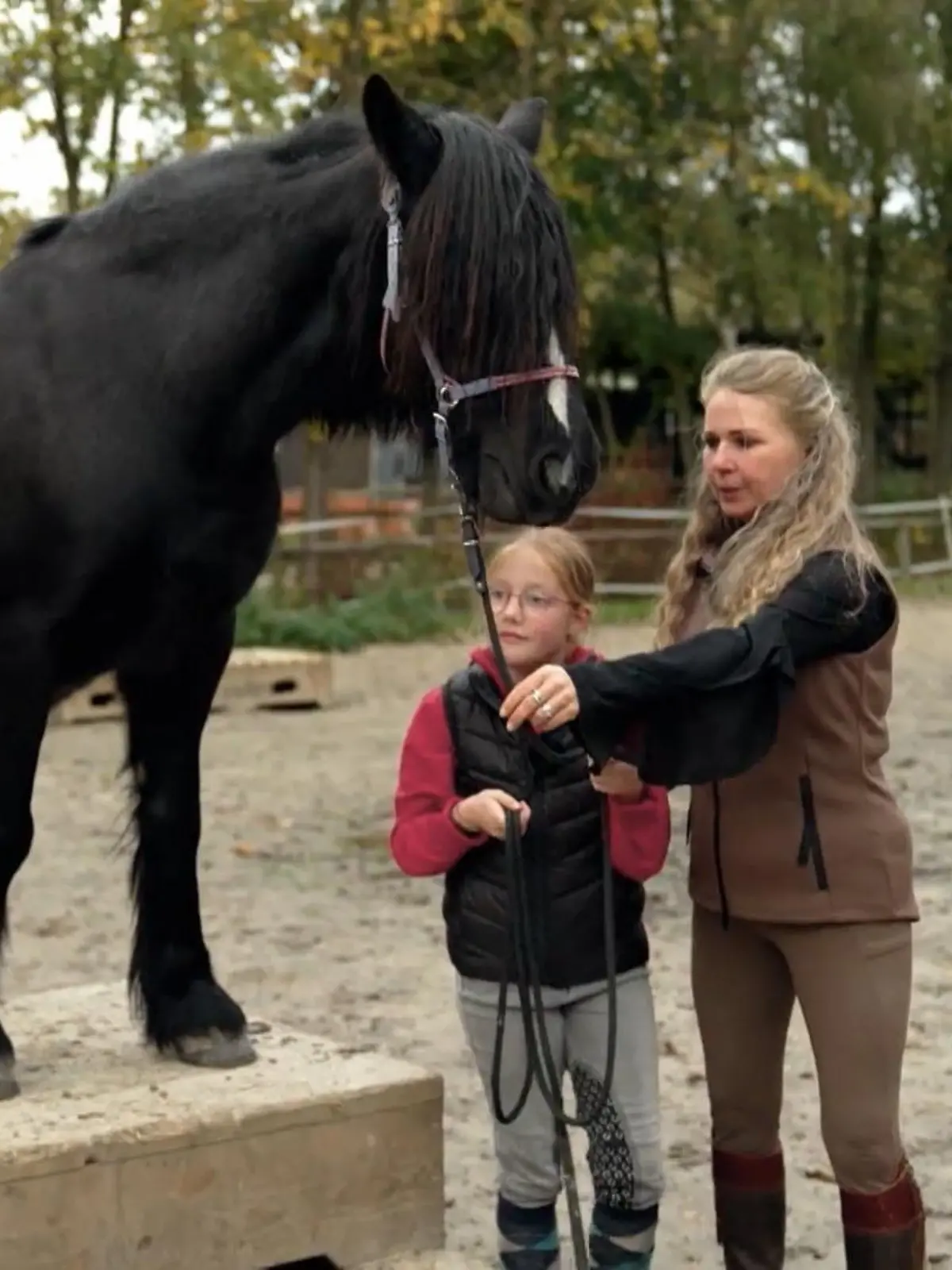 Bild zu: "Ihre Bailey ist nicht mehr wiederzuerkennen"