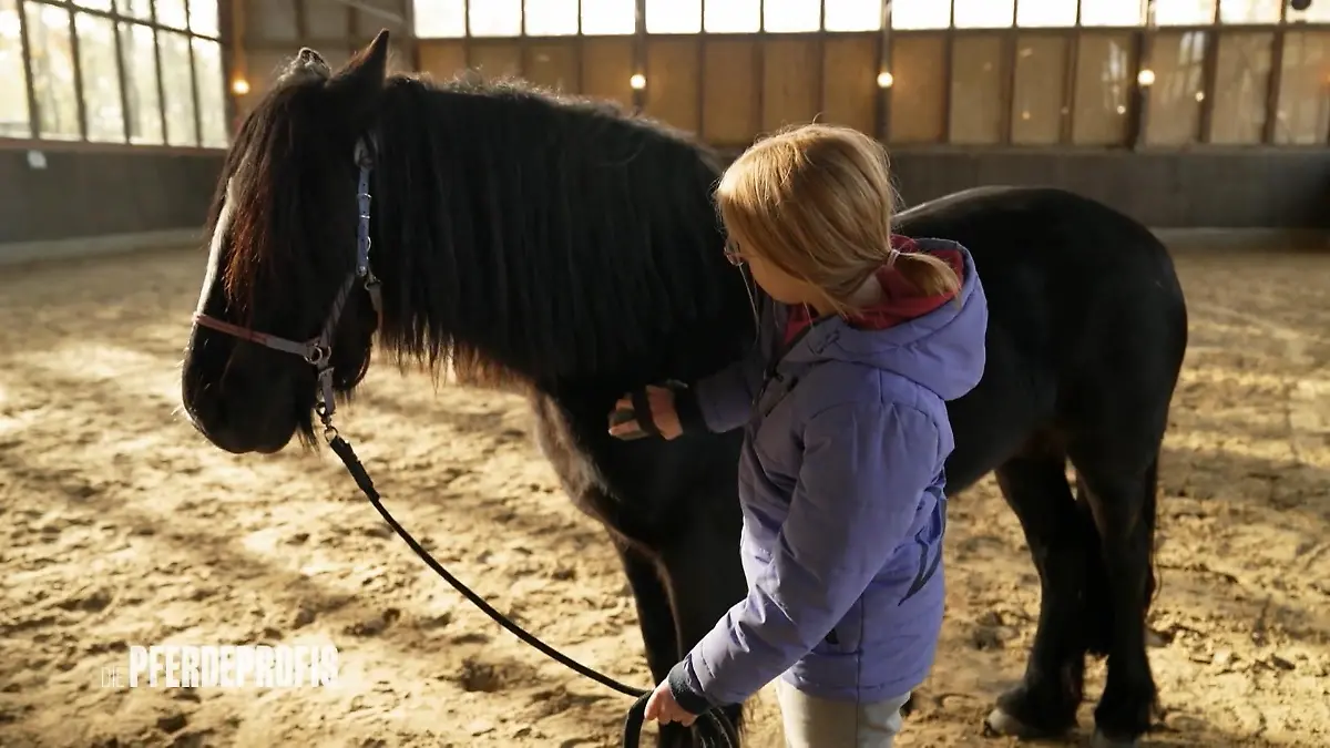 Kann aus Marie und Bailey ein echtes Team werden? Viel Arbeit für Jenny