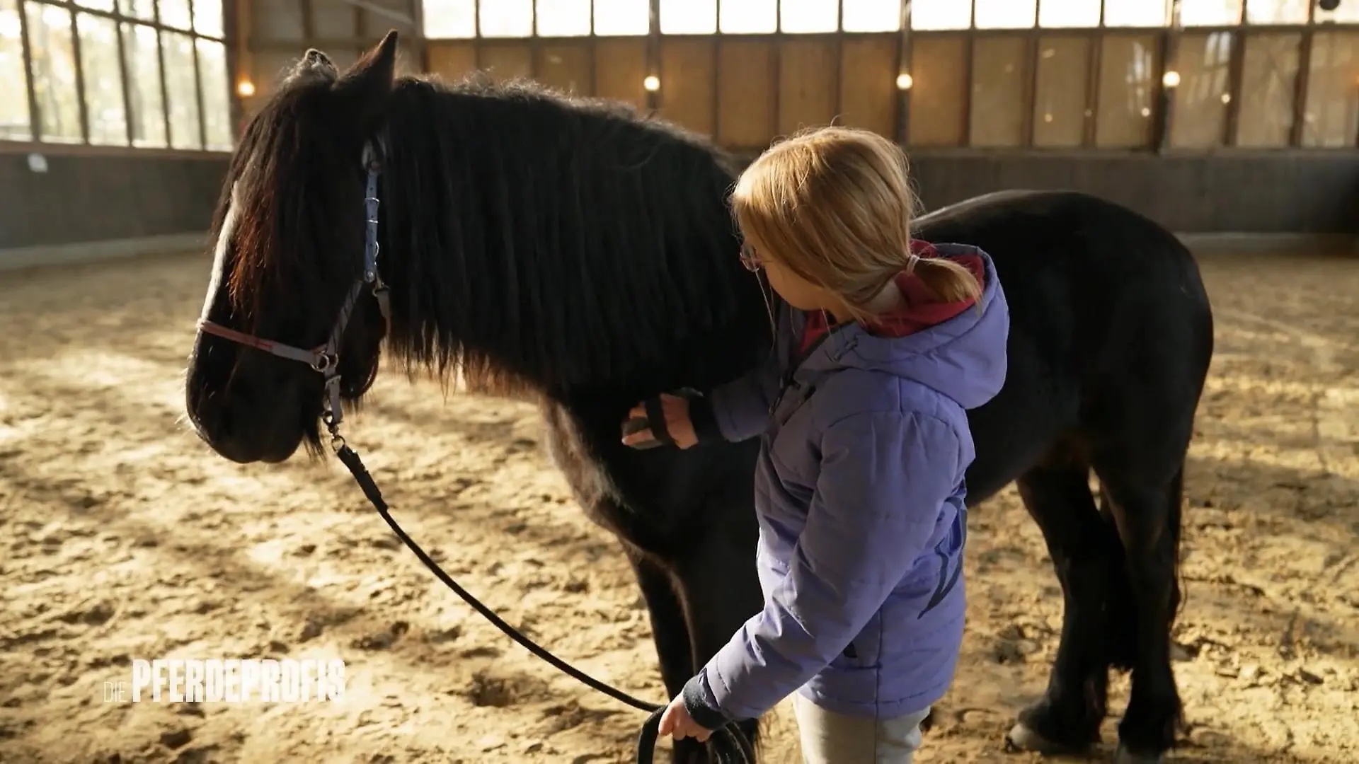 Kann aus Marie und Bailey ein echtes Team werden? Viel Arbeit für Jenny