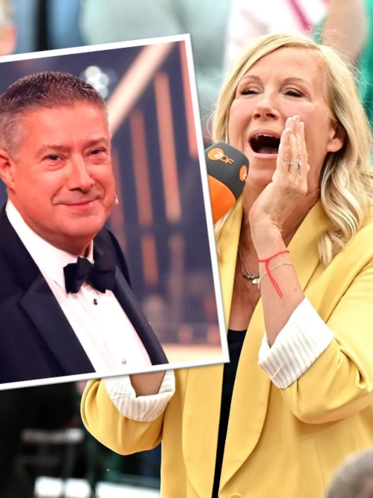 ZDF-Fernsehgarten in Not - jetzt muss Llambi ran