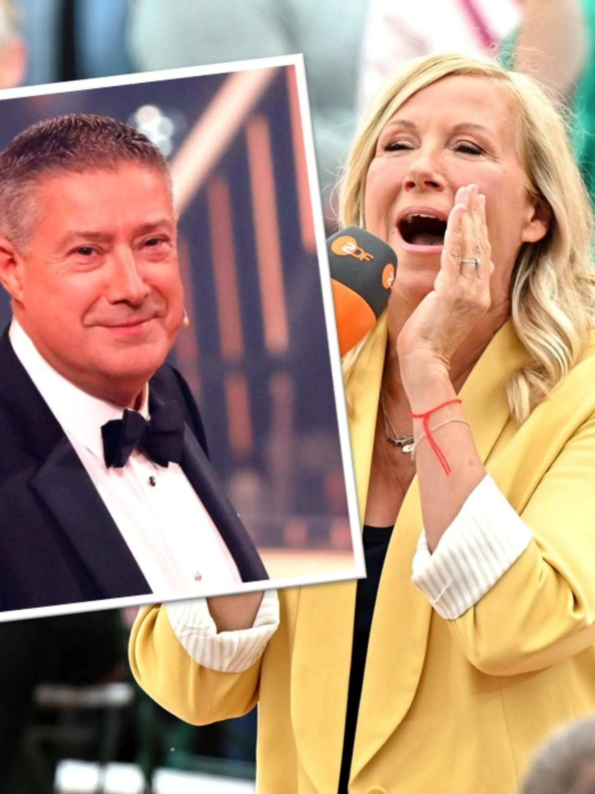 ZDF-Fernsehgarten in Not - jetzt muss Llambi ran