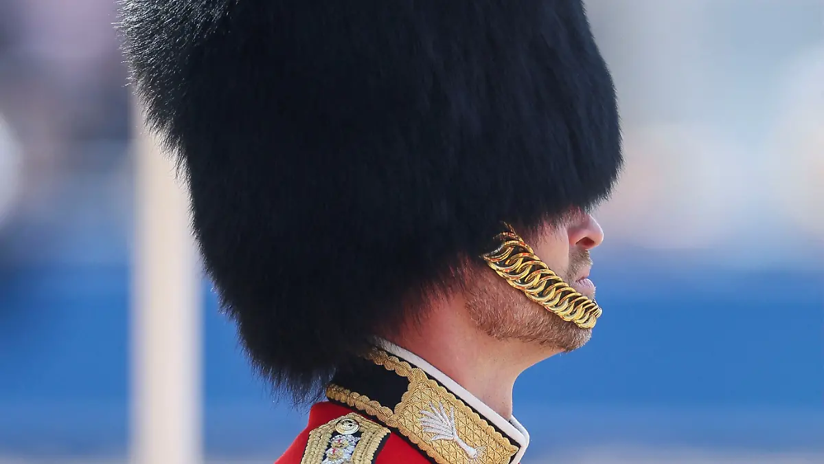 William, der Prinz von Wales