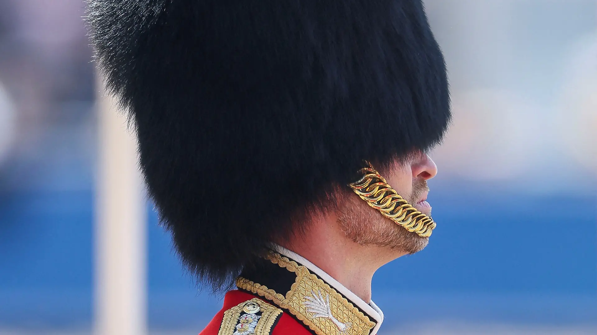 William, der Prinz von Wales