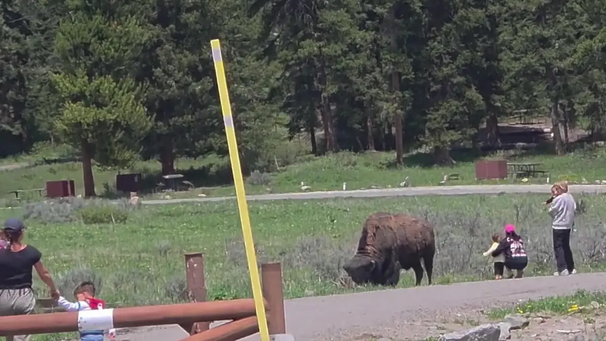 Lufthansa-Flug LH 499: Crew fesselt randalierenden Passagier im ...