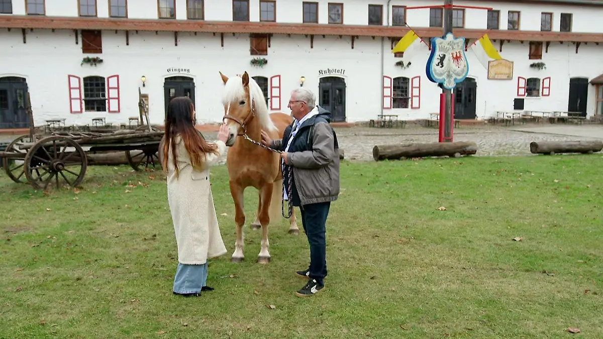 Folge 3