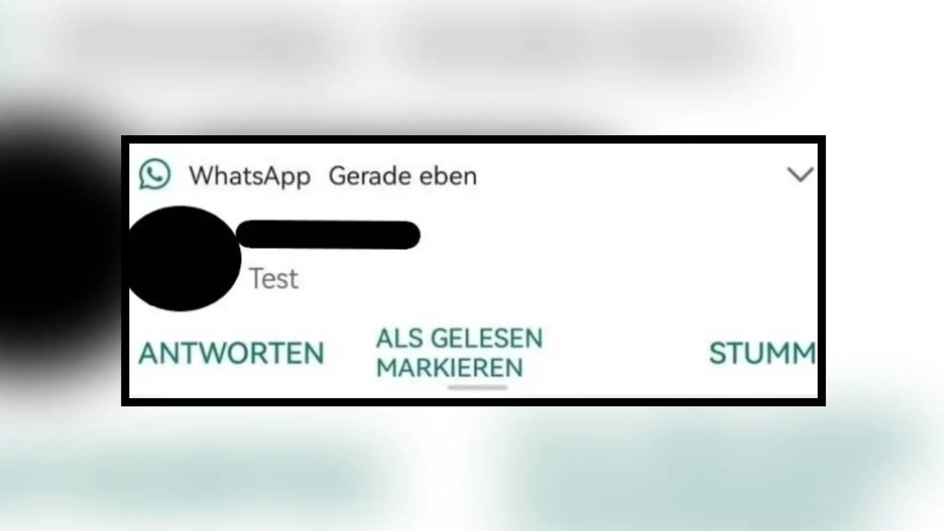 WhatsApp Android