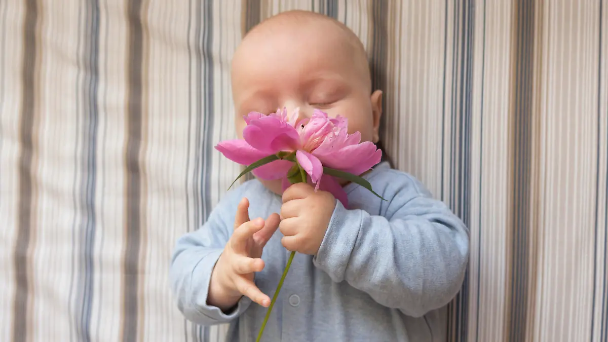 Baby riecht an einer Blume