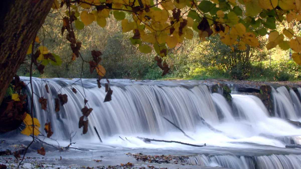 Wie ein Milchbach fließt am Freitag (14.10.2005) das Wasser des Flüsschens Schwarza über ein Wehr bei Bad Blankenburg. Das rund 53 Kilometer lange Schwarzatal erstreckt sich am Nordrand des Thüringer Schiefergebirges. Es ist Bestandteil des Naturparks "Thüringer Wald". Foto: Jan-Peter Kasper dpa/lth +++(c) dpa - Bildfunk+++