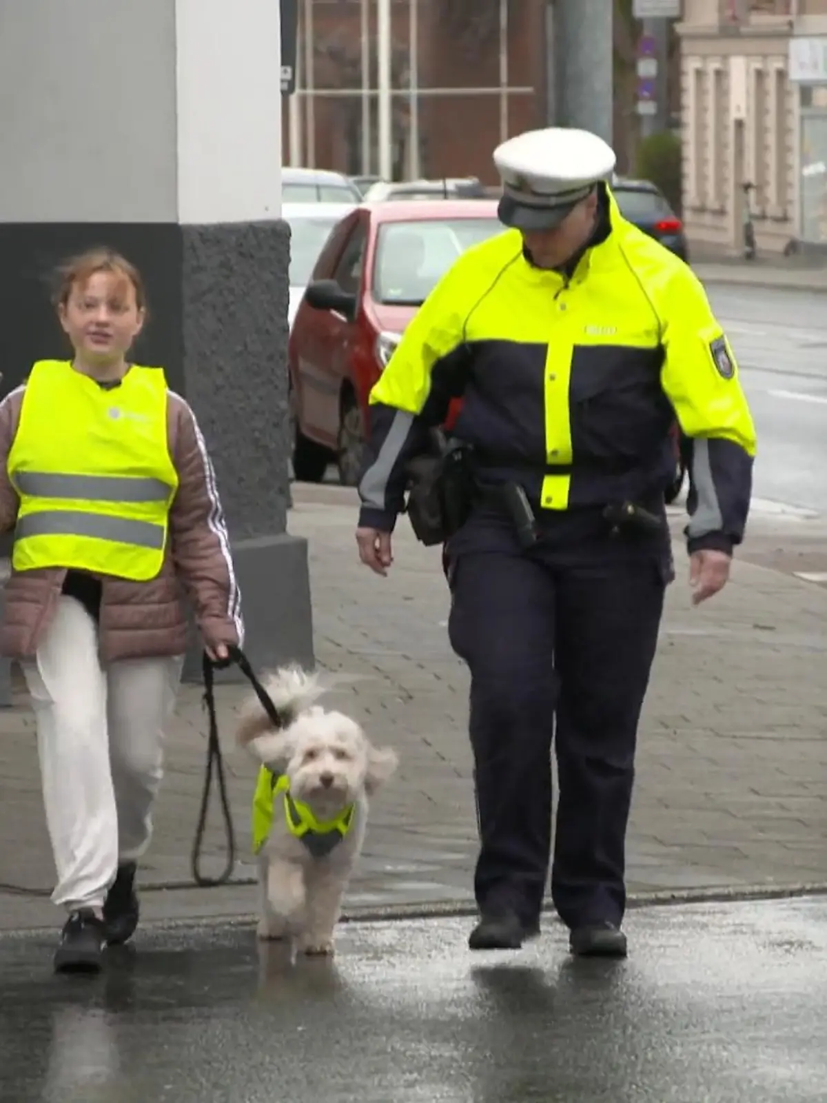 Verkehrsunfälle haben oft traumatische Folgen für die Beteiligten. Der Mischling Buddy wird als emotionaler Türöffner bei Betroffenen eingesetzt. Die 11-jährige Emilia aus Oberhausen wurde Opfer eines Verkehrsunfalls. Dank Buddy traut sie sich wieder in den Straßenverkehr.
