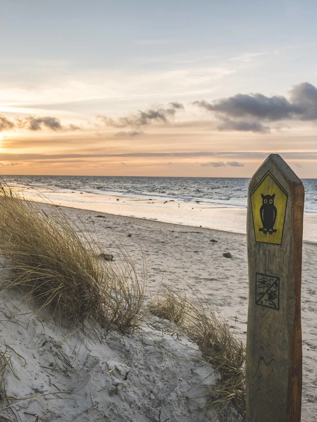 Germany, Mecklenburg-Western Pomerania, Darss, Ahrenshoop, beach passage PUBLICATIONxINxGERxSUIxAUTxHUNxONLY KEBF01064  